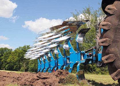 juwel-8-streifenkoerper-2