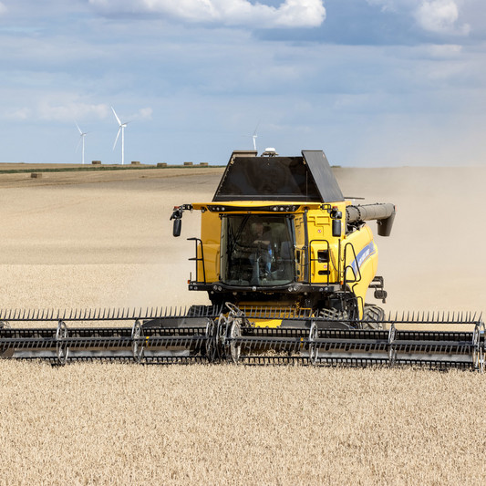 CR8_90_Revelation_StageV_22_246