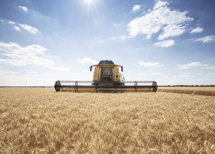 CX8_80_StageV_19_341